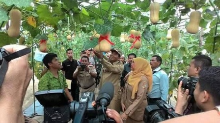 Kecamatan Rumbai Kembangkan Potensi Wisata Agro
